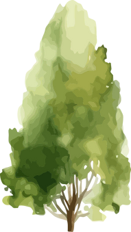 illustrerat träd